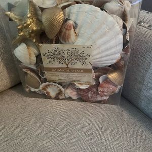 Decorative seashell
